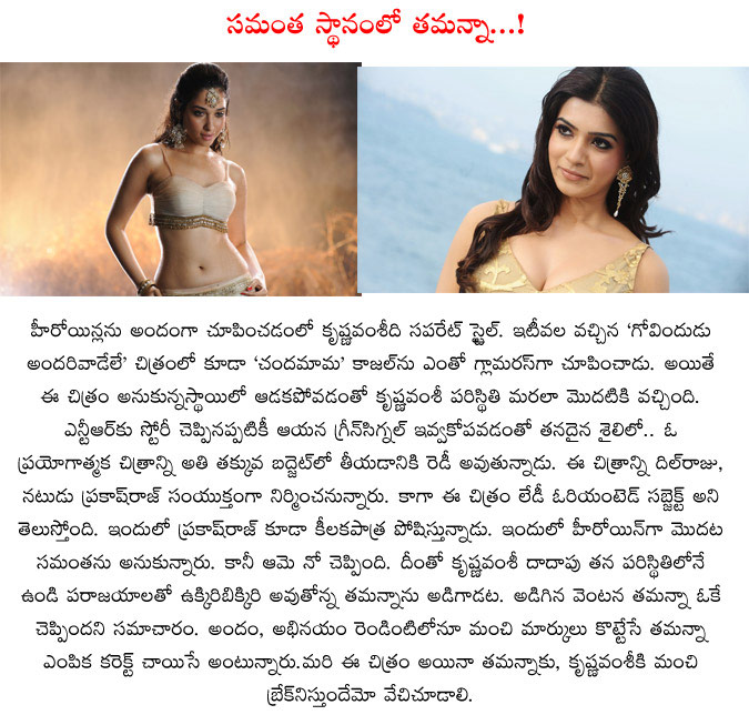 tamanna,tamanna repalces samantha,krishna vamsi,tamanna in krishna vamsi movie,kajal agarwal,chandamama movie,tamanna bags the krishna vamsi offer,tamanna actress  tamanna, tamanna repalces samantha, krishna vamsi, tamanna in krishna vamsi movie, kajal agarwal, chandamama movie, tamanna bags the krishna vamsi offer, tamanna actress